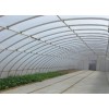 河北溫室大棚施工，春秋用大棚建造，自動(dòng)化溫室大棚施工【快速get】華亮