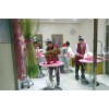 價格實惠的寵物醫(yī)院0451-82534009,黑龍江優(yōu)質的給貓狗看病的寵物醫(yī)院