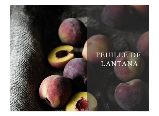 TAO整體家居:NEW|別具品味的隱形家具