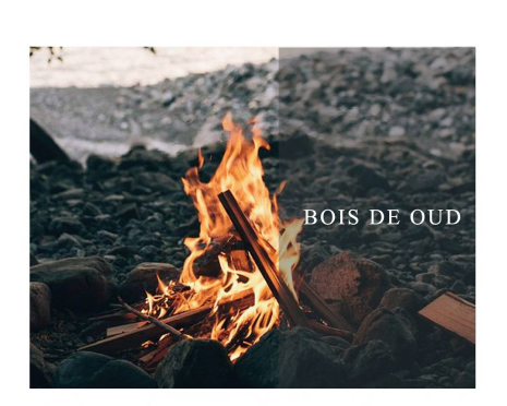 TAO整體家居:NEW|別具品味的隱形家具