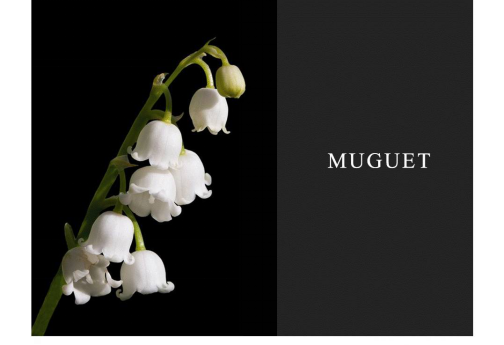 TAO整體家居:NEW|別具品味的隱形家具