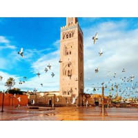 山東出國勞務(wù)價(jià)格，專業(yè)的出國勞務(wù)公司