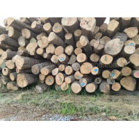 供應(yīng)FSC歐洲白蠟水曲柳原木
