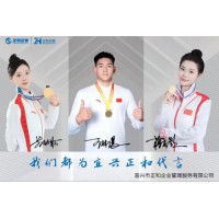 2026年1月實(shí)物印章廠家推薦，資質(zhì)技術(shù)案例三維硬核測評